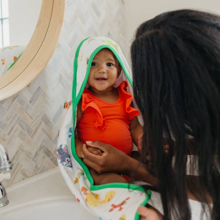 Copper Pearl - Wholesale Hooded Towel - Kids & Baby - Premium Baby Knit Hooded Towel - Sesame Friends2