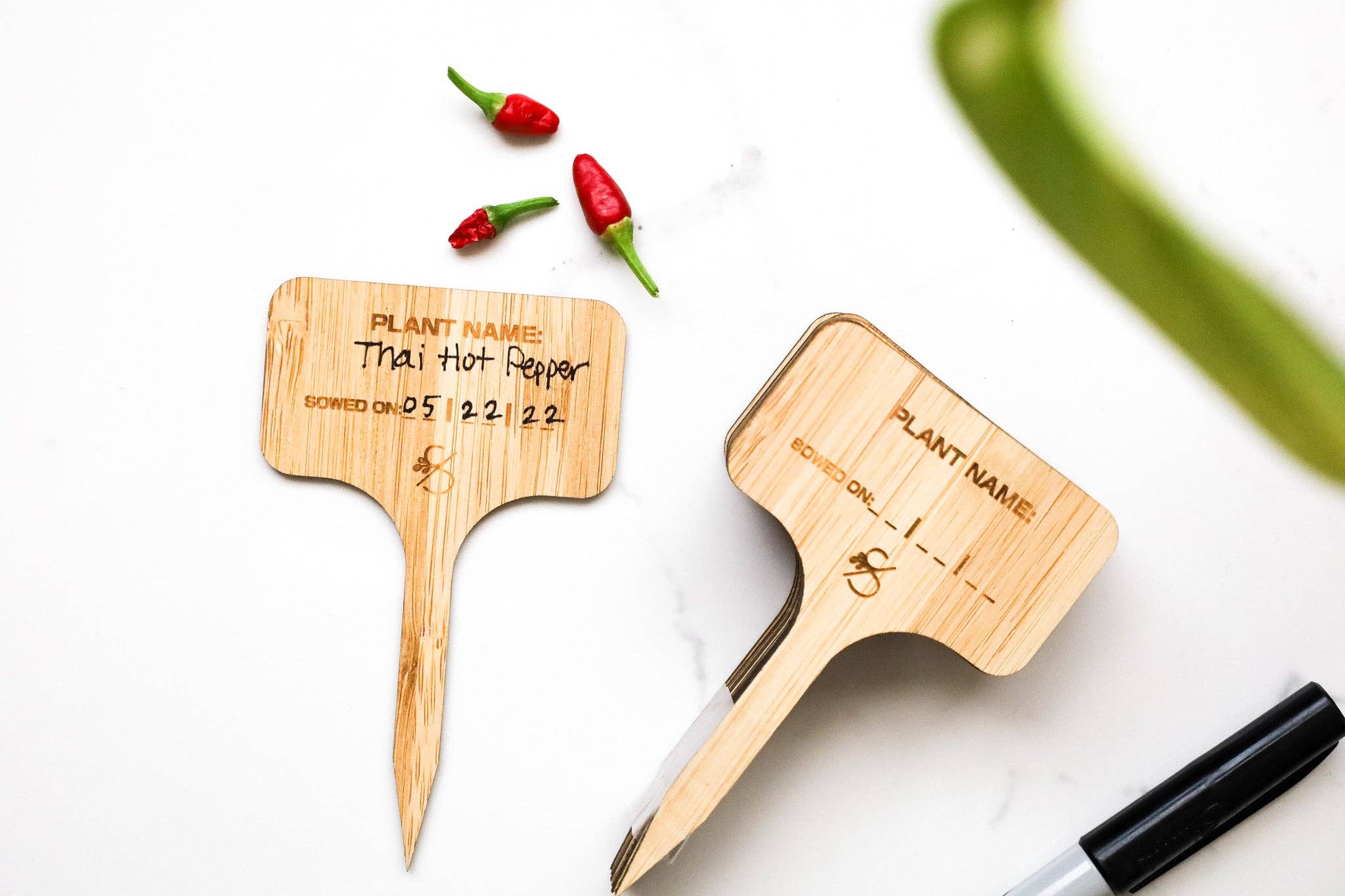 Coco and Seed - Wholesale Garden Tool - Bamboo Plant Labels2