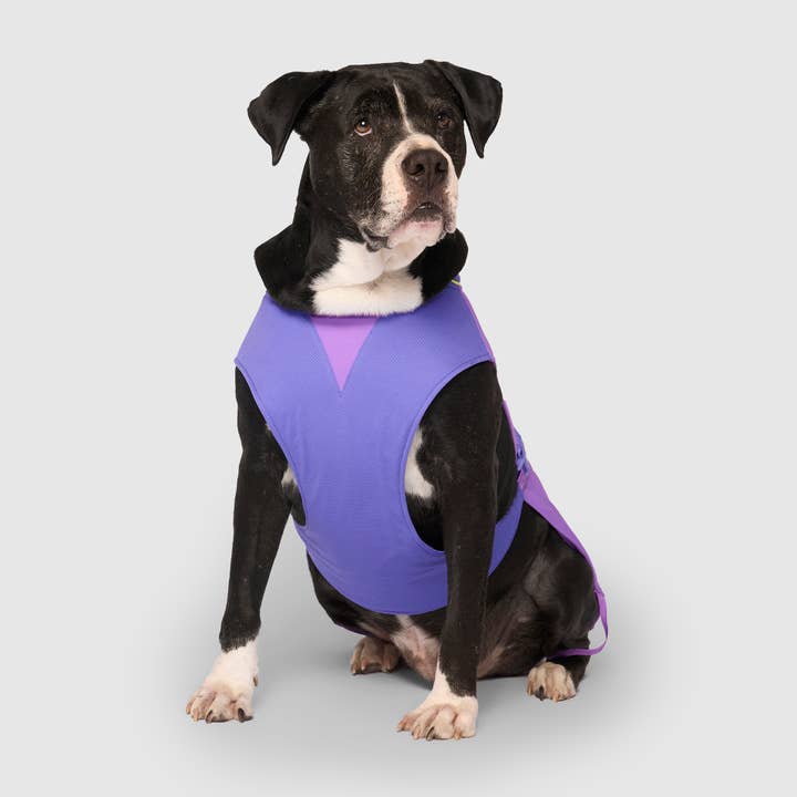 Canada Pooch - Wholesale Pet Vest - Dog - Max Chill Cooling Vest11