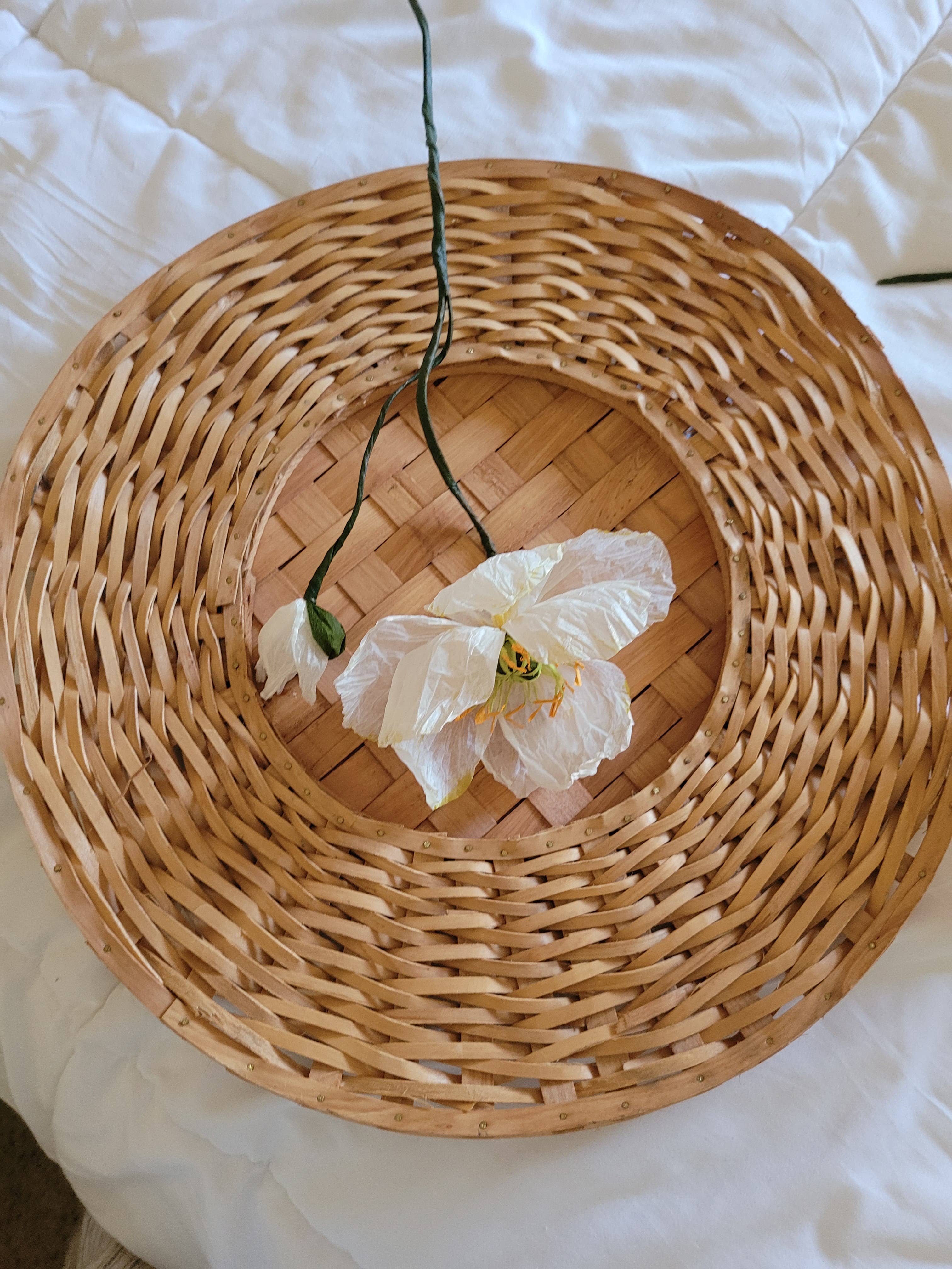 Beautiful Things By Bec - Wholesale Artificial Flowers - Paper Icelandic Poppy10