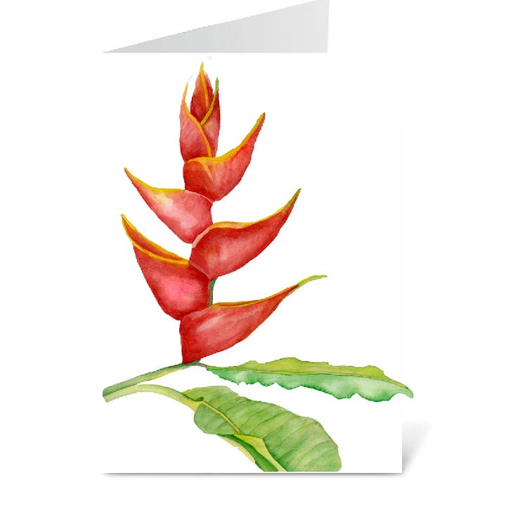 Heliconia Card for wholesale by Bobbi Lee Wilson Art Cards