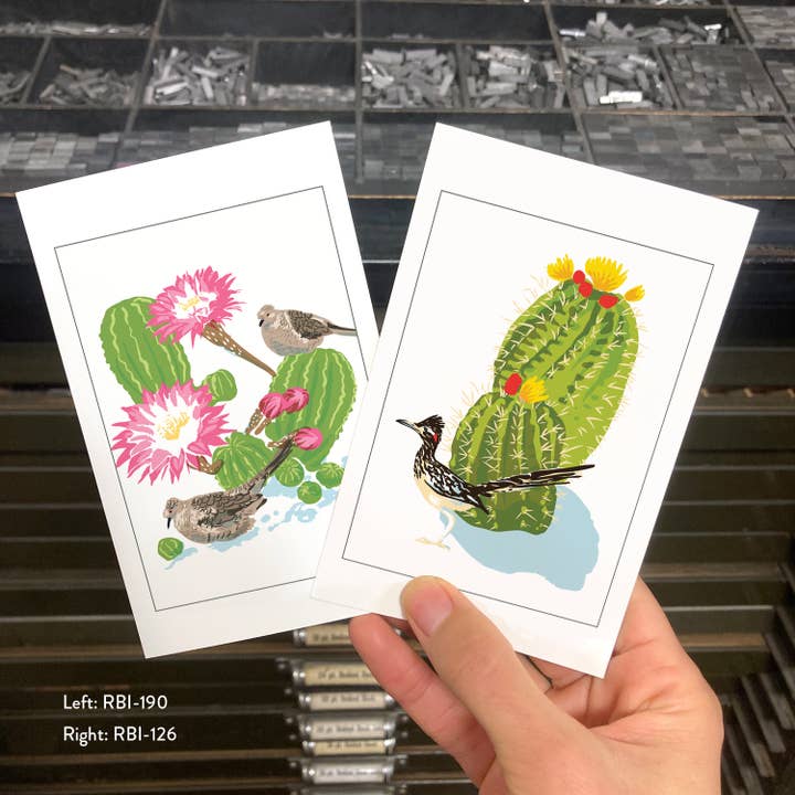 Rigel Paper – Postal por atacado – RBI-126 Cartão Postal de Flor de Cacto do Deserto e Pássaro Roadrunner1