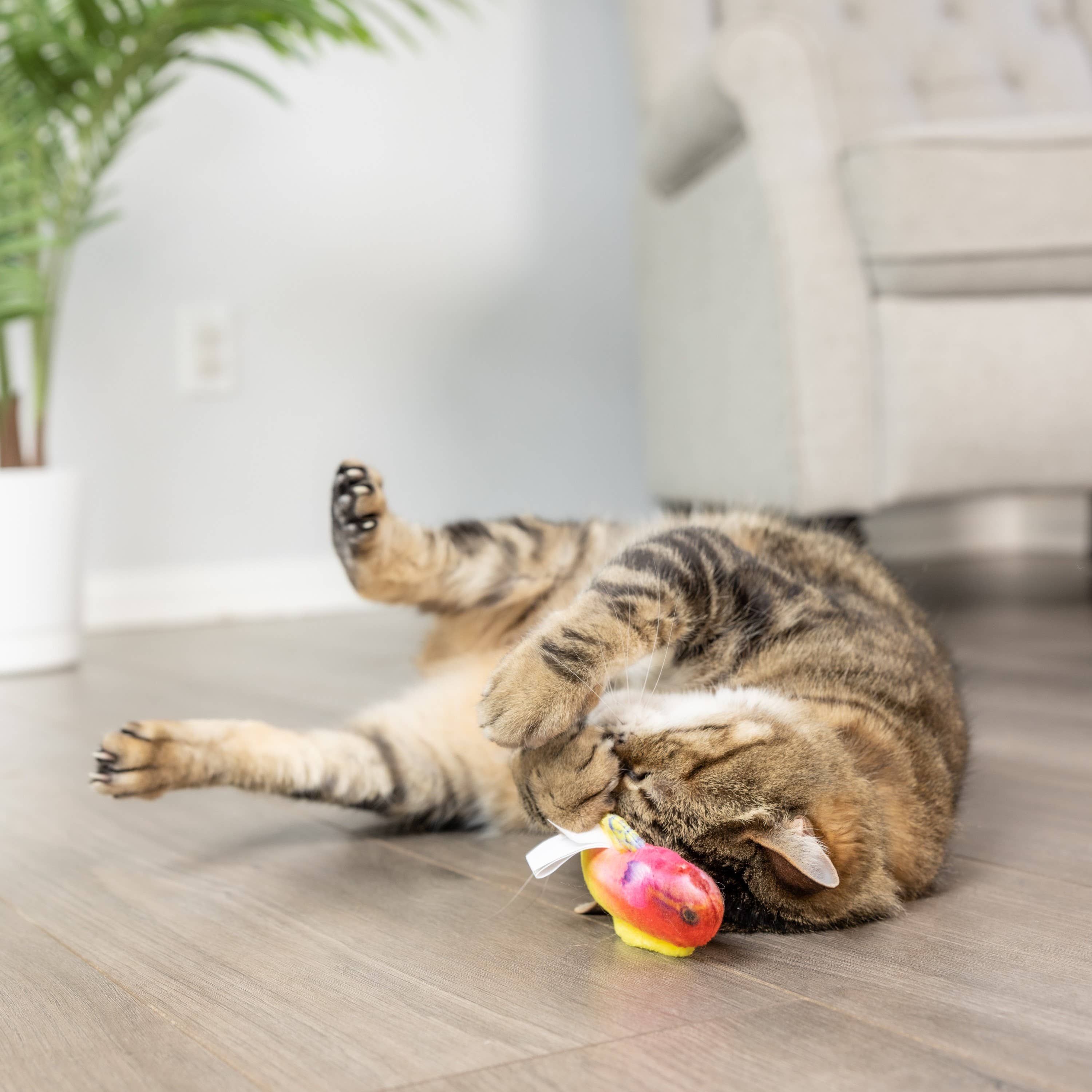 Huxley & Kent - Wholesale Pet Toy - Cat - Rainbow Guppy Cat Toy4