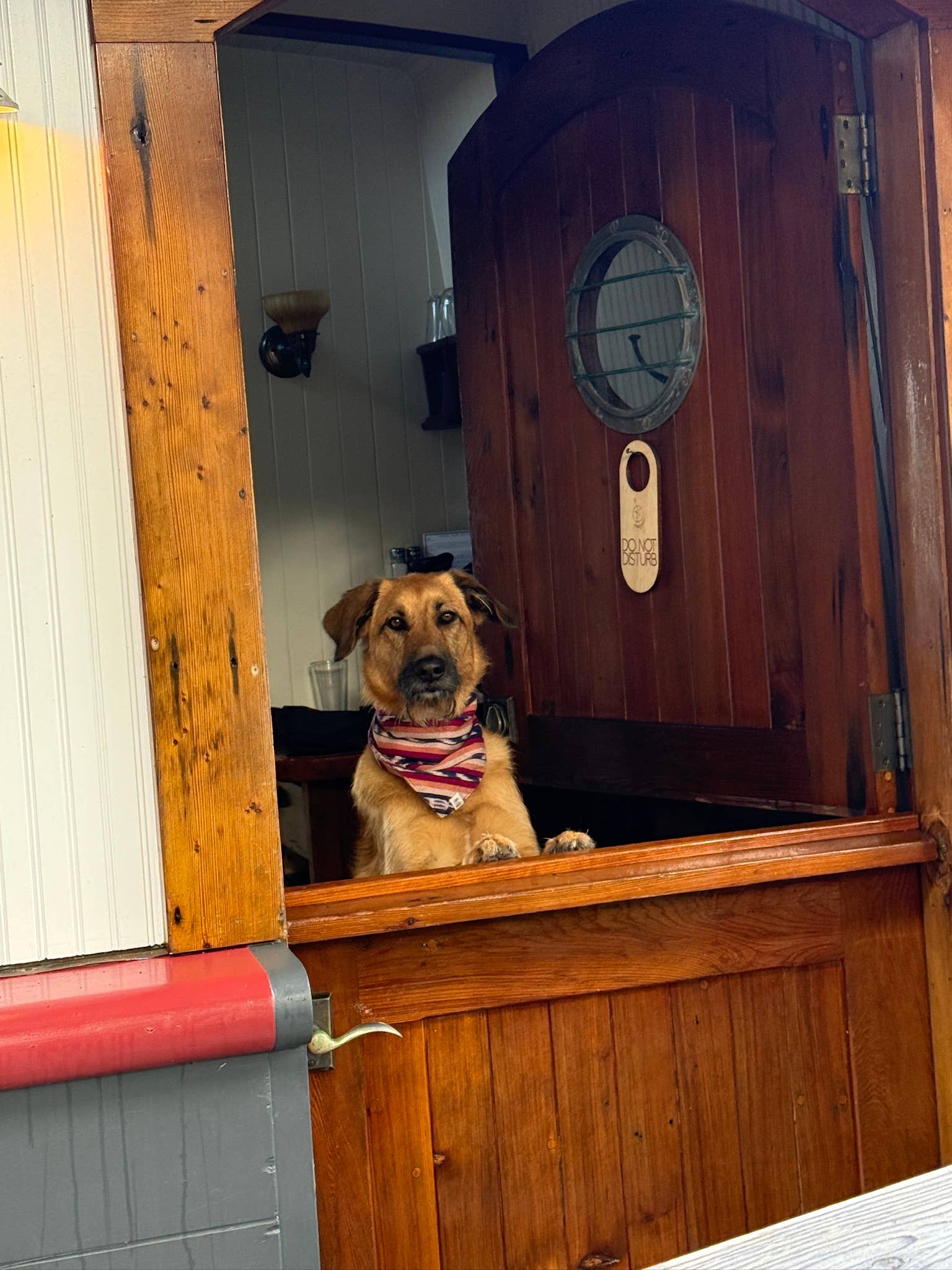 Sam & Nala | intentional style for pets & their people - Wholesale Pet Bandana - Dog - Esperanza Dog Bandana- Handwoven / Fair Trade3