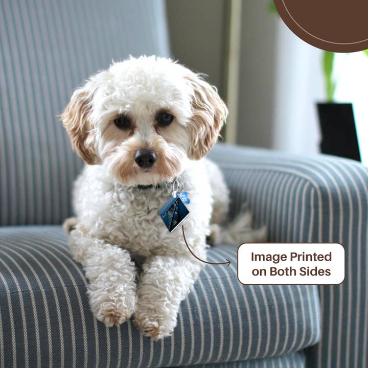 3dRose - Wholesale Keychain - Unisex - 3dRose, USA, California, San Francisco–Oakland Bay Bridge, Key Chain1