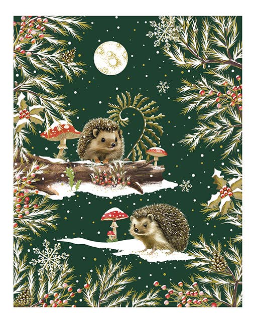 Multi Técnica de Papelería SA - Wholesale Stationery/Notecard Set - 2603-24427 - Nature Chic Owl and Rabbits0
