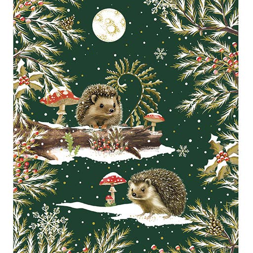 Multi Técnica de Papelería SA - Wholesale Stationery/Notecard Set - 2603-24427 - Nature Chic Owl and Rabbits