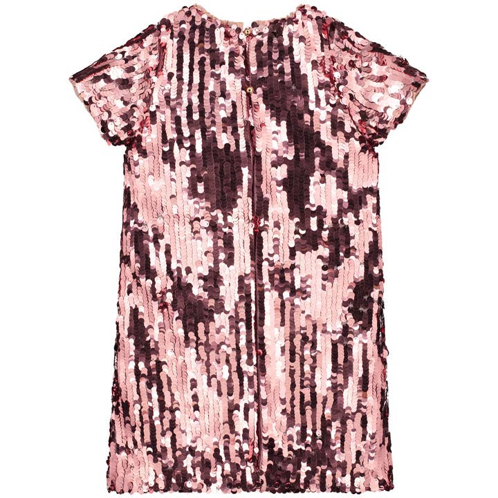 Holly Hastie London – Engroshandel Kjole - Børn – Coco Paillet Piger Fest Kjole, Blush Pink