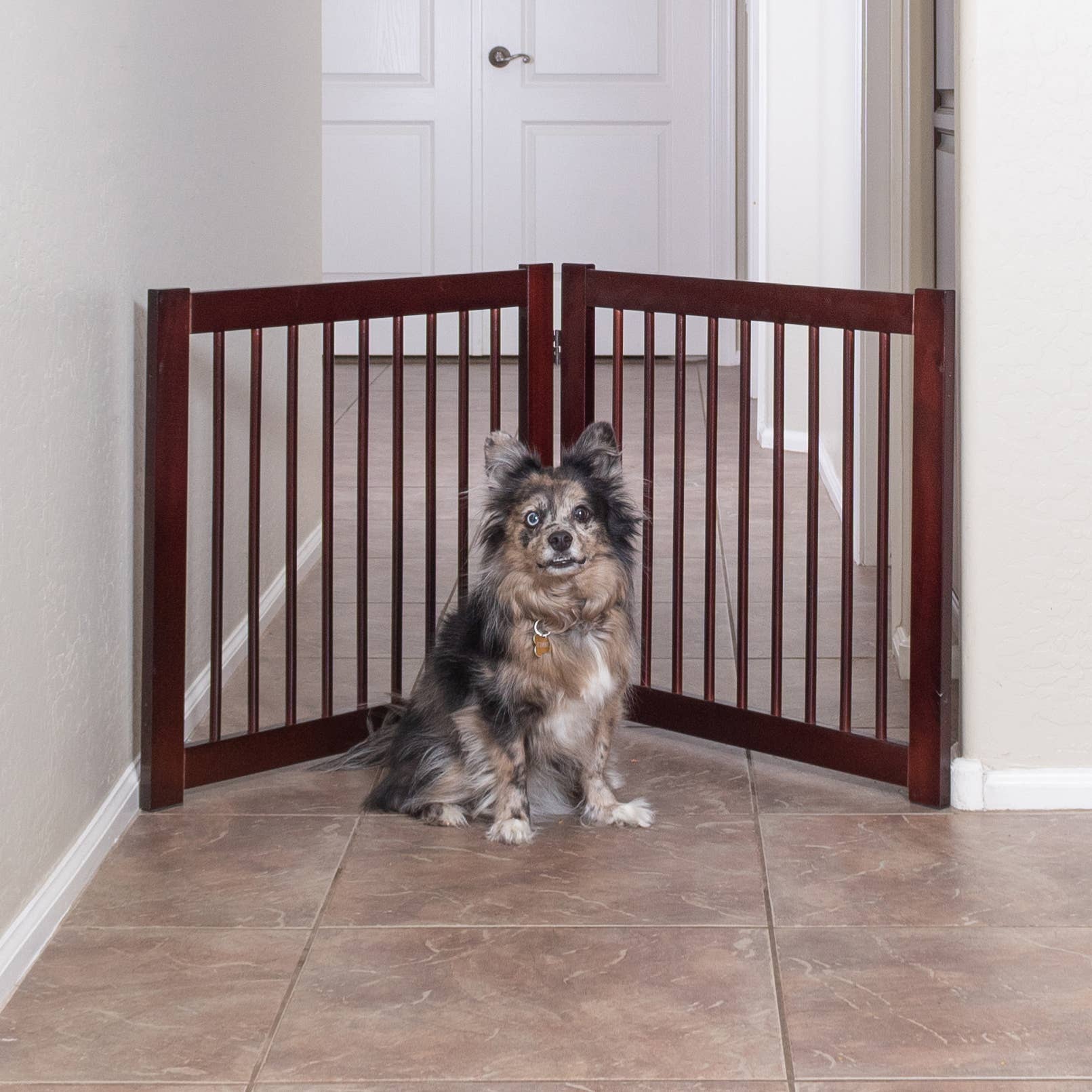 Primetime Petz - Wholesale Pet Folding Gate - Dog - 360 Extension Kit for Pet Gate2