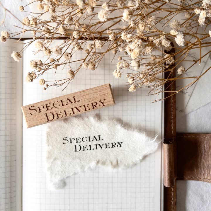 Timbro di gomma: Consegna speciale (Collezione di lettere d'amore) per la vendita all'ingrosso da parte di Crea with Gaby