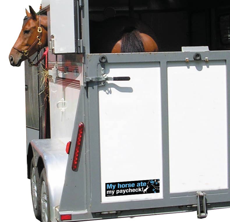 Horse Hollow Press / Pretty, Funny, Snarky Cards & Stickers - Wholesale Sticker - Horse Bumper Sticker / CLOSE OUT / My Horse Ate My Paycheck!4
