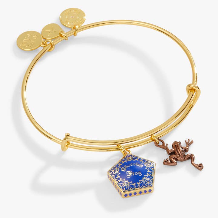 Harry Potter™ Chocolate Frog Two-Charm Bangle for wholesale by Alex and Ani
