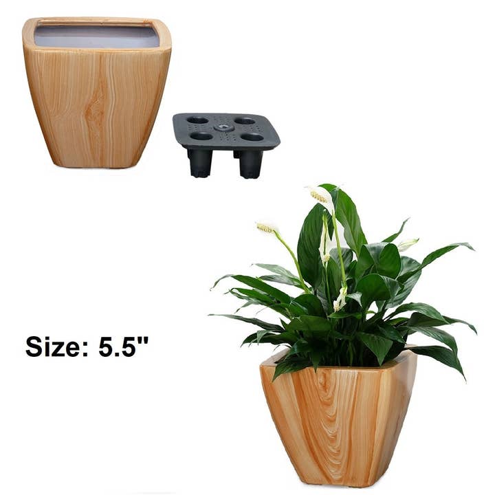 BlakOutlet - Wholesale Plant pot - 2-Pack Smart Self-watering Planter Pot for Indoor and Outdoor2