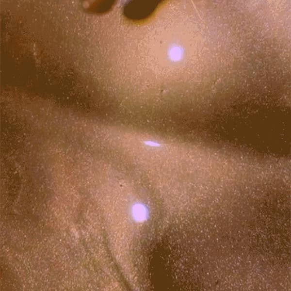 Magic Potion - Shimmering Perfume Oil for wholesale by PTO BEAUTY