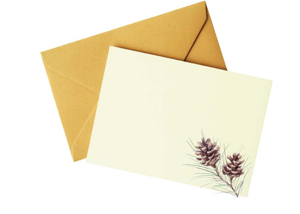 Stickerlishious - Wholesale Everyday Greeting Card - PINE GIFT ENCLOSURE CARD0