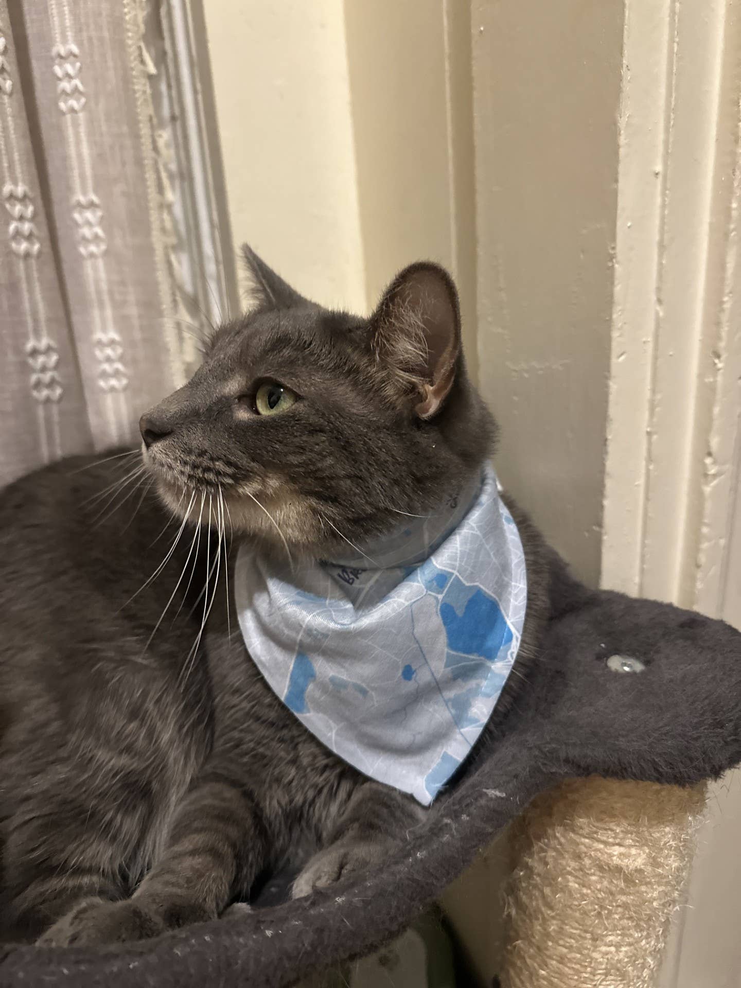 Maritime Tribes LLC - Wholesale Pet Bandana - Dog - Bandana  aka Dogdana -Doggie Bandana13