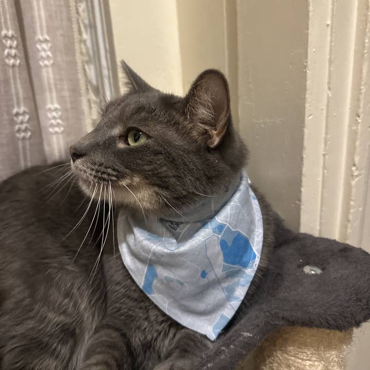 Maritime Tribes LLC - Wholesale Pet Bandana - Dog - Bandana aka Dogdana -Doggie Bandana13