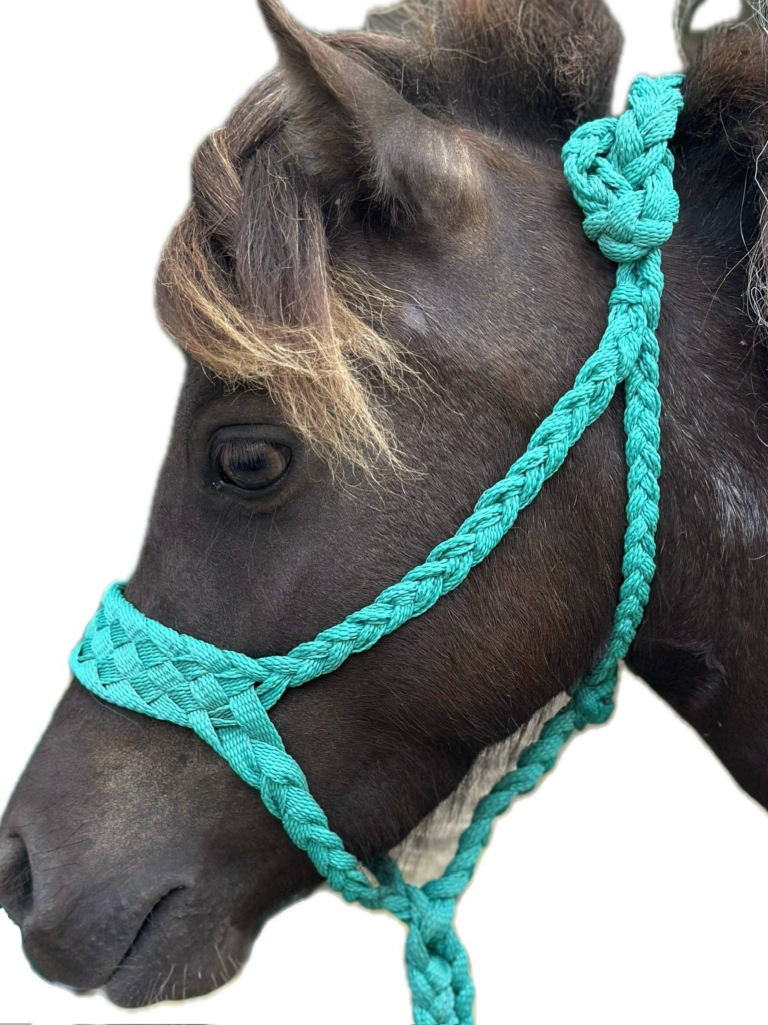Wilder Trading Company – wholesale Horseback riding gear – Custom Halter & Lead Rope3