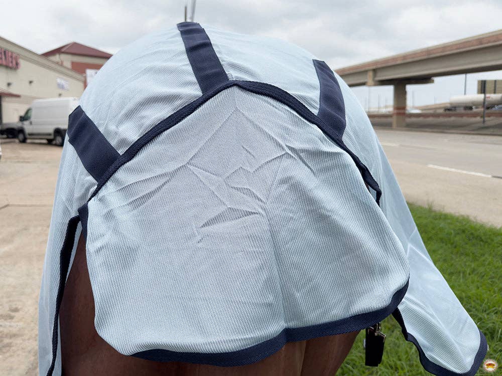 HILASON - Wholesale Horseback Riding Gear - HILASON Horse Fly Sheet - Summer Spring UV Protection Mesh Bug Mosquito FlySheet for Horses | Fly-Sheet7
