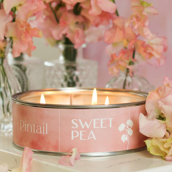 Sweet Pea Grand Triple Wick (Pack of 6) for wholesale by Pintail Candles | Avalon Home