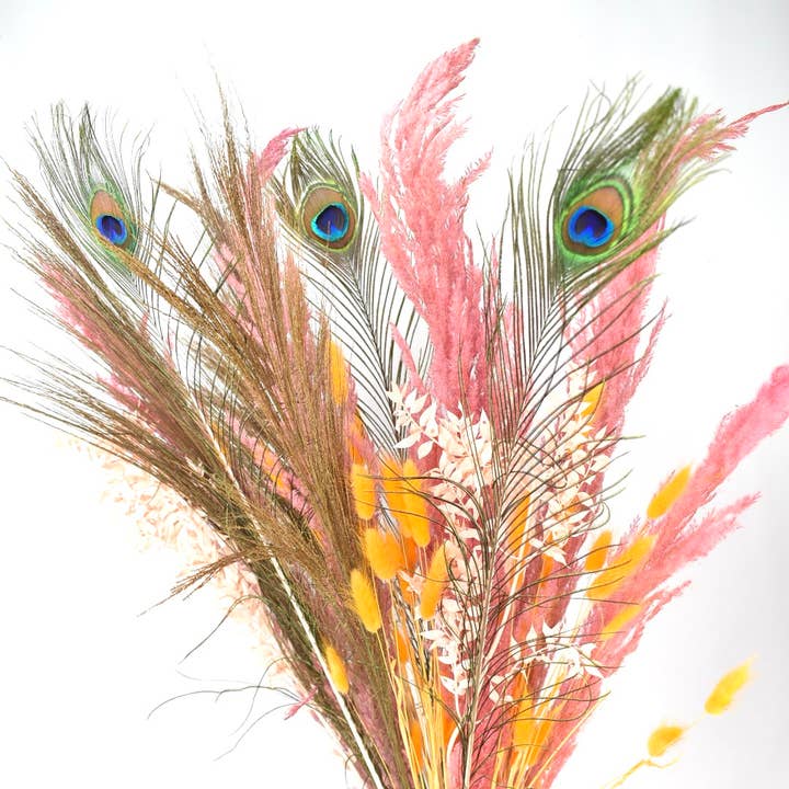 Dutch Flower Studio – wholesale Torkade/pressade blommor – Bukett med torkade blommor och pampasgräs - Dekoration med fjädrar0