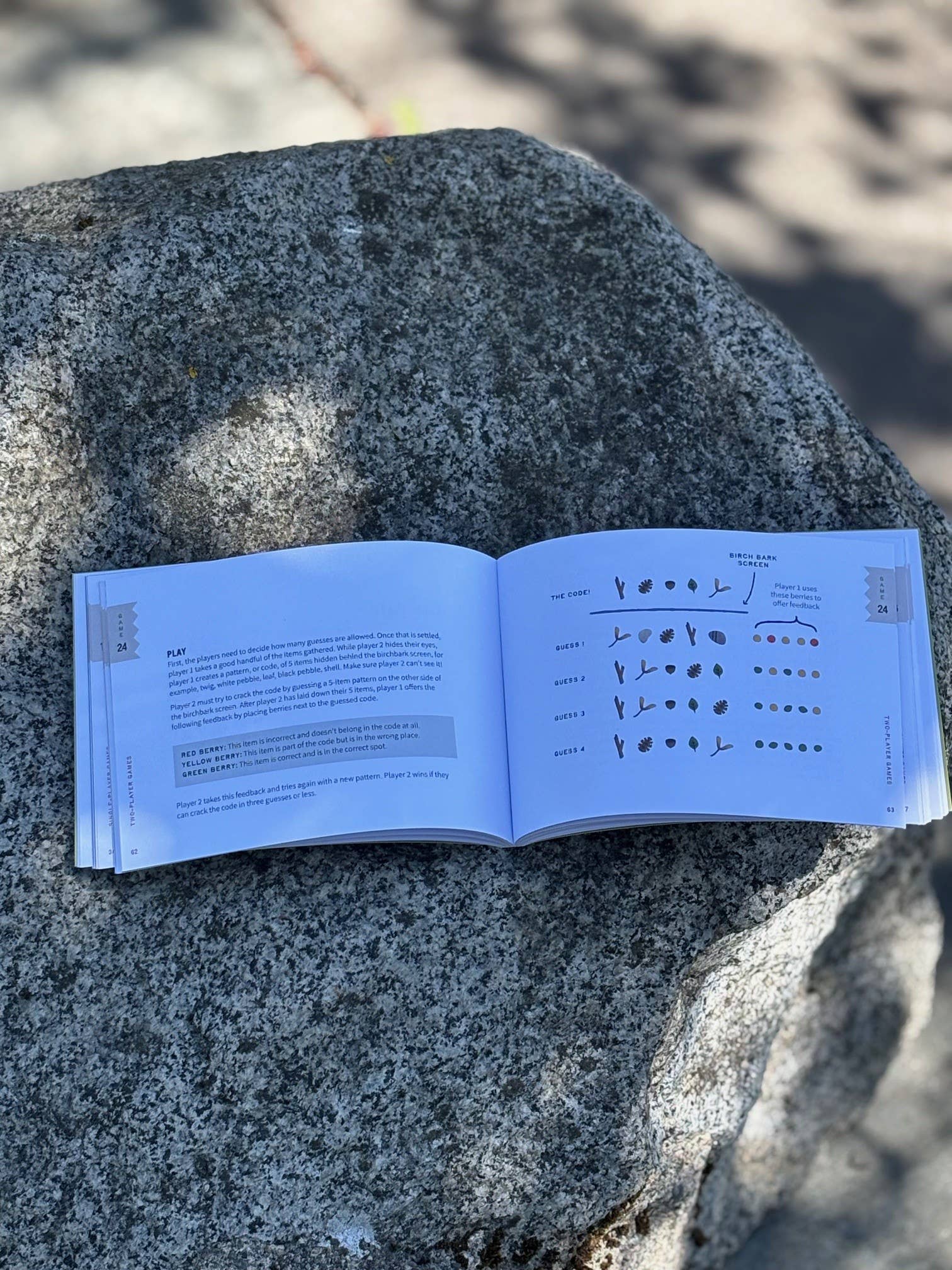 Mountaineers Books – Großhandel Fantasy-Roman – Spiele mit Stöcken, Steinen und Kiefernzapfen für die Natur4