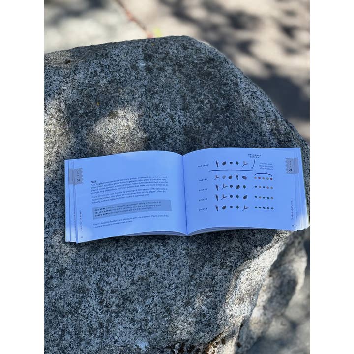 Mountaineers Books – Großhandel Fantasy-Roman – Spiele mit Stöcken, Steinen und Kiefernzapfen für die Natur4