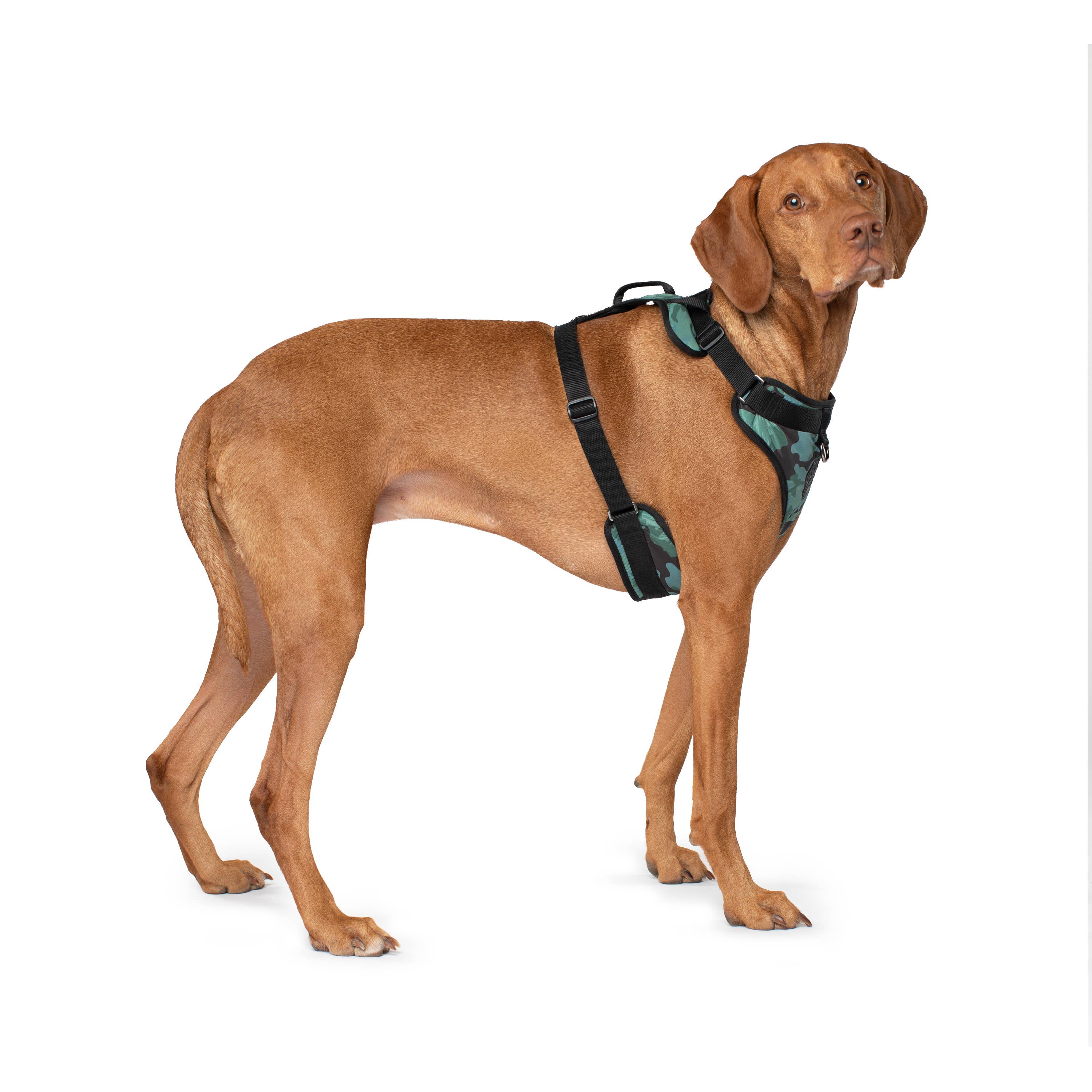 Canada Pooch - Wholesale Pet Harness - Dog - Everything Harness- No-Pull Dog Harness10