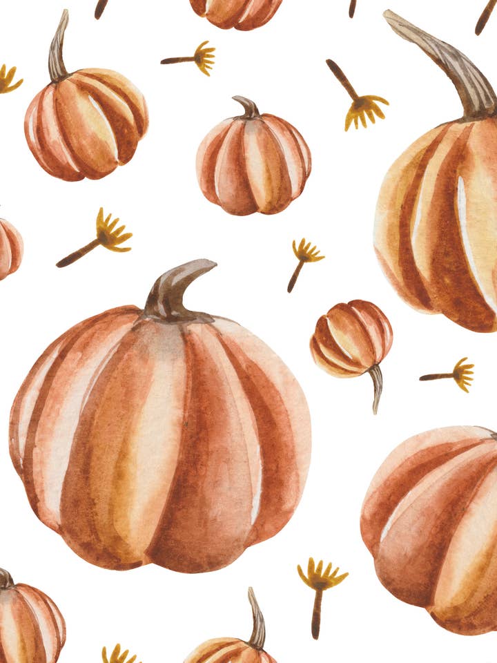 Græskar for engroshandel hos Blossom & Bloom