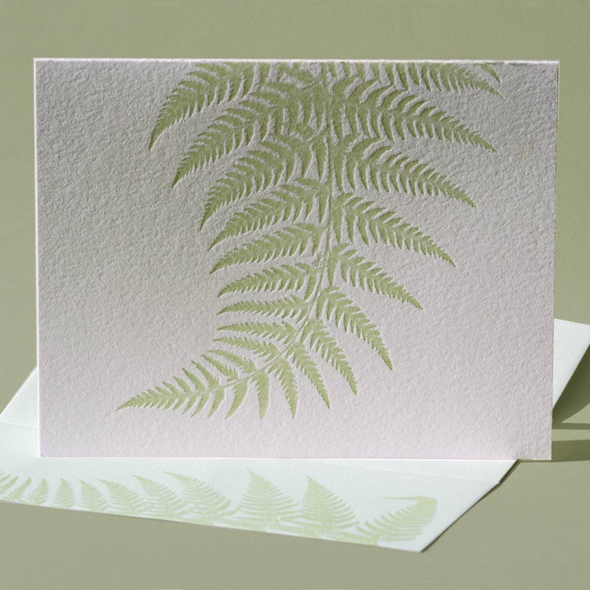 Painted Tongue Press - Wholesale Birthday Card - Fern Birthday and Blank Note Card1