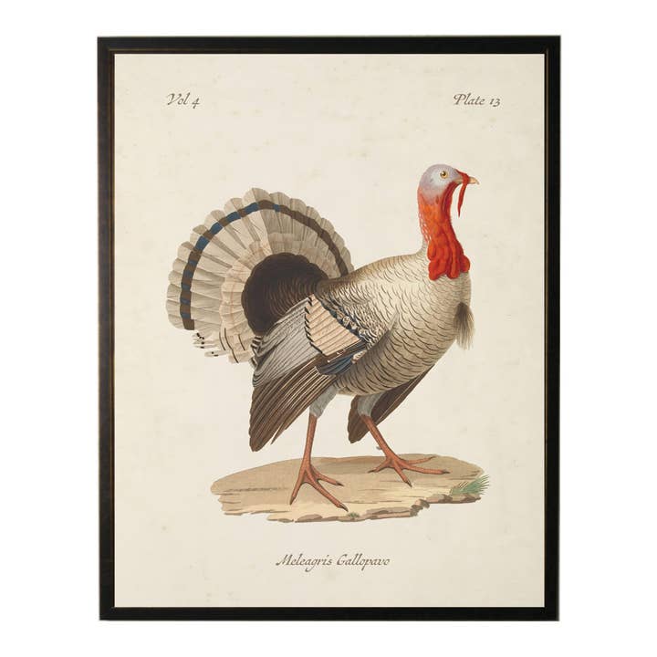 Ex-libris vintage de dinde sur un fond usé pour la vente par Antique Curiosities Inc