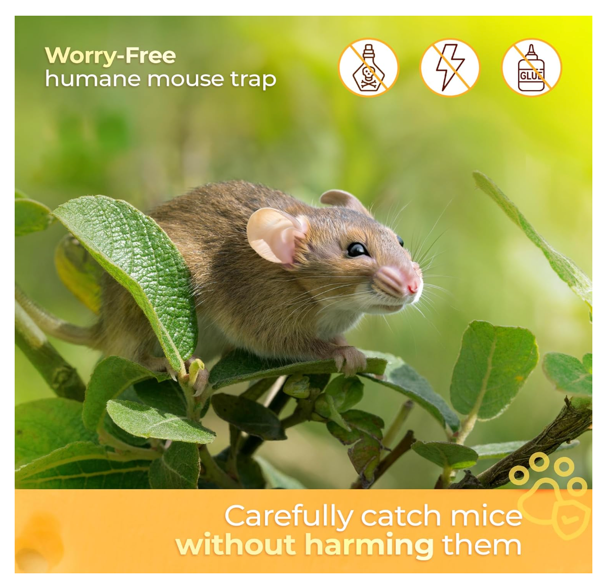 CTBDealz - Wholesale Animal Repellent - Humane Mouse Trap Indoor/Outdoor No Kill 2 Pack4