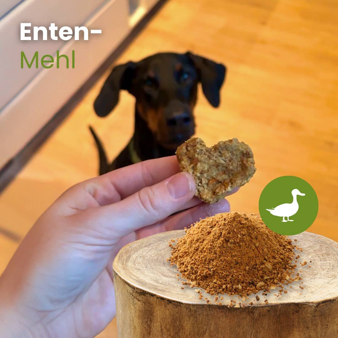 Kauartikel.com GmbH - Wholesale Pet Food - Dog - Duck flour1