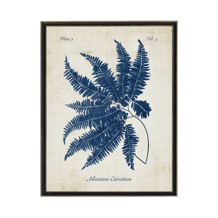 Antique Curiosities Inc - Venta al por mayor Ilustración - Helecho azul marino sobre fondo desgastado
