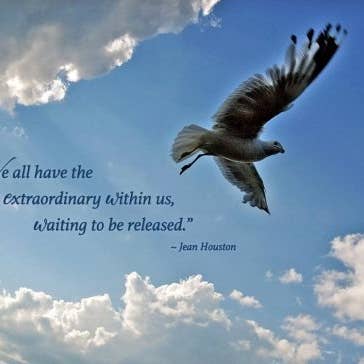 Biglietto di laurea straordinario all'interno per la vendita all'ingrosso da parte di MUNDO IMAGES