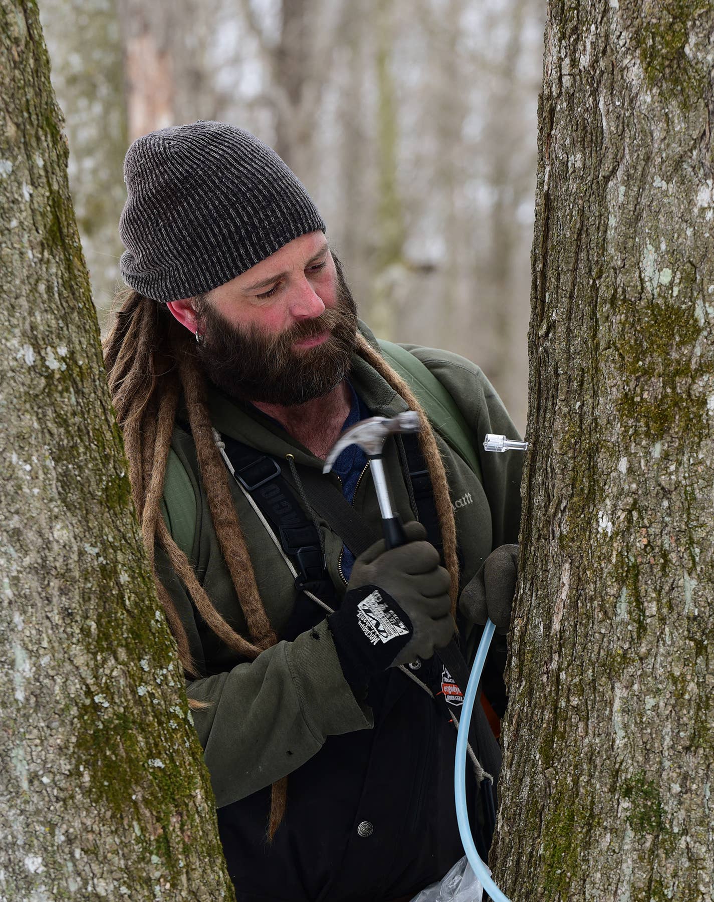 Maple Valley Cooperative - Vente Sirops d'érable - Sirop d'érable biologique ambré et riche verre plat 8 oz6
