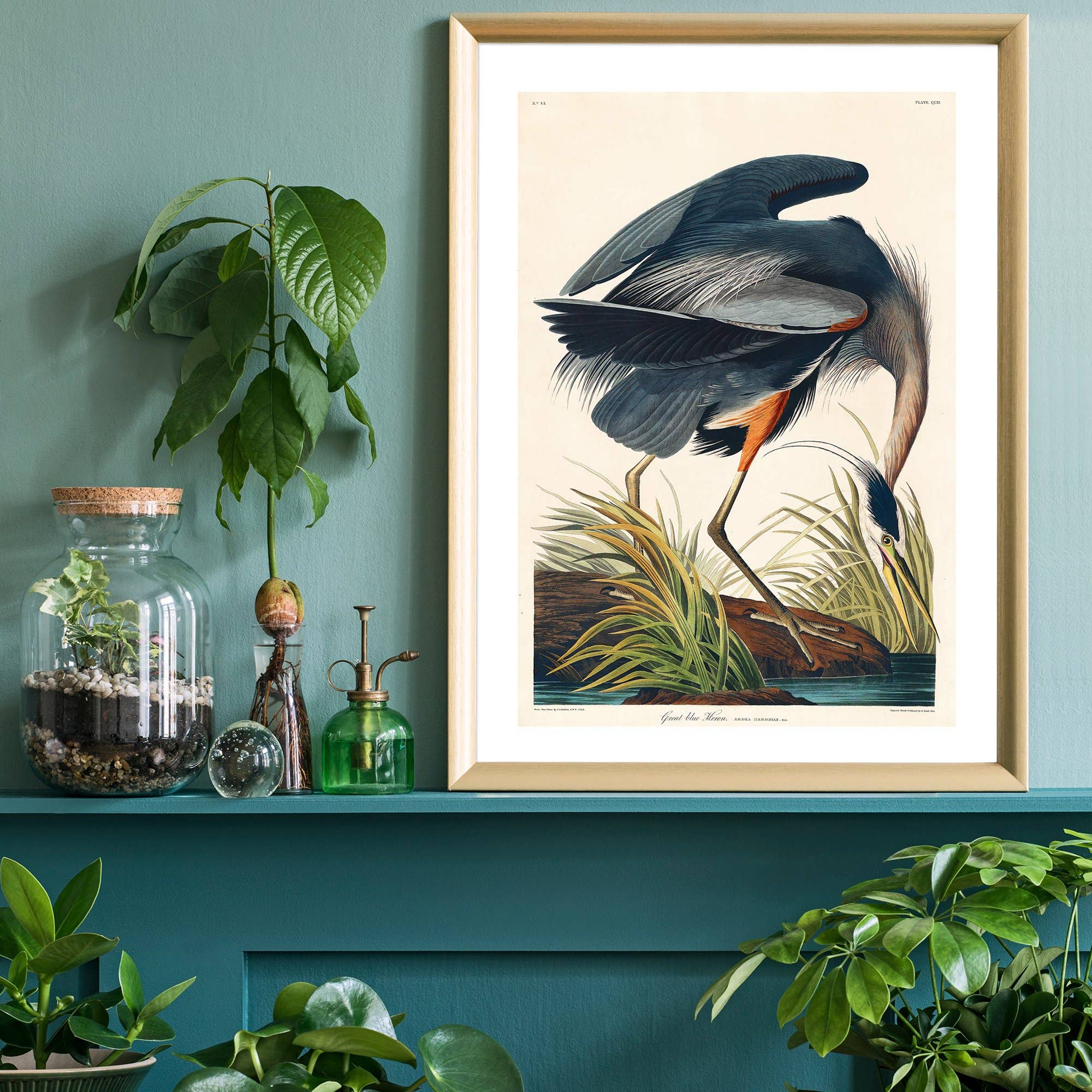 Ink & Drop - Wholesale Art Print - Blue Heron Vintage Antique Bird Print1