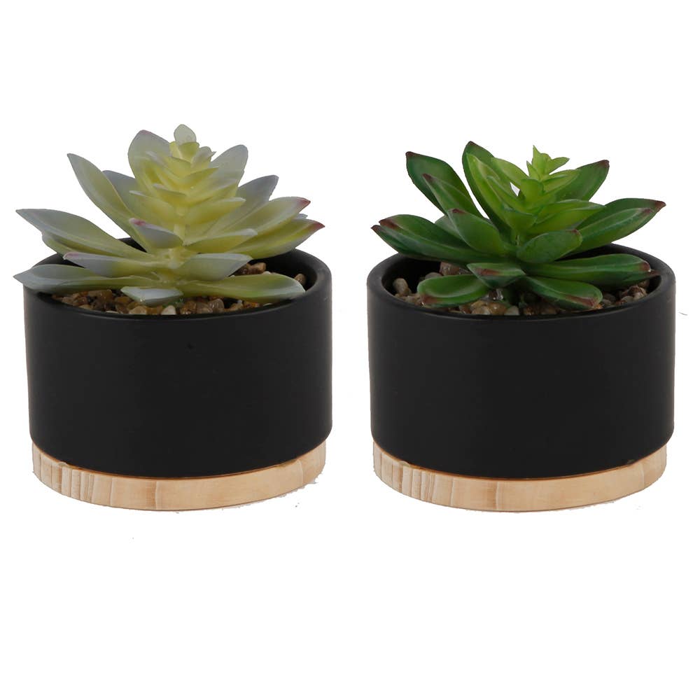 Flora Bunda Inc - Wholesale Artificial Plant - Set of 2 Faux Succulents in Ceramic & Wood Pots0