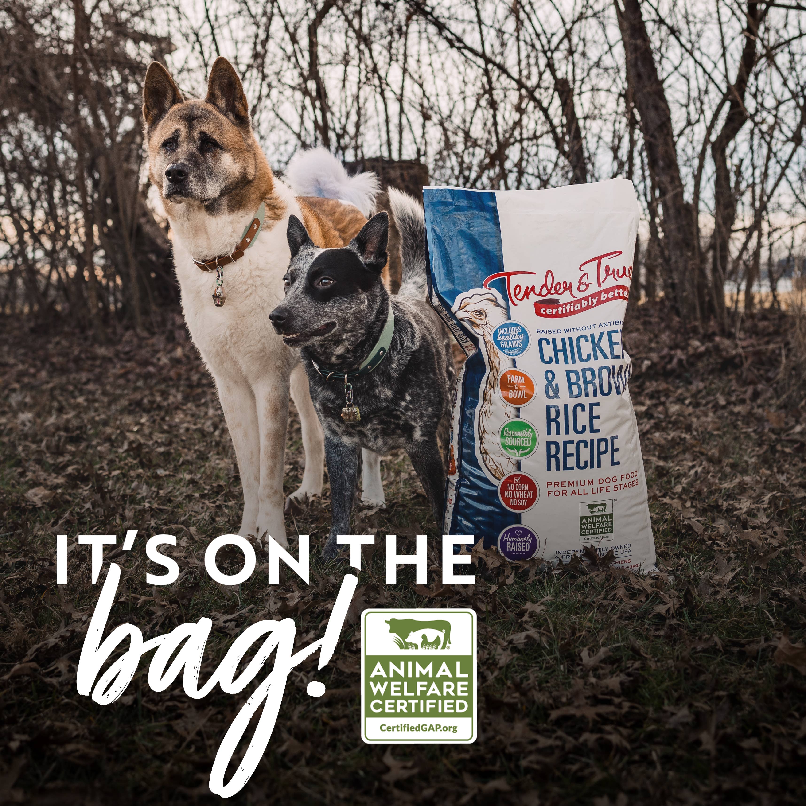 Tender & True Pet Nutrition - Vente Nourriture – chien - Recette de poulet et riz brun Nourriture sèche pour chien, sacs M/L4