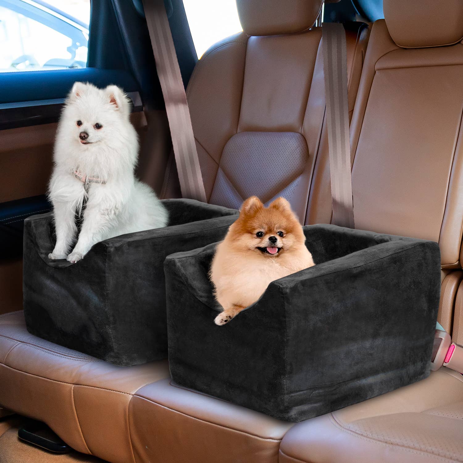 Precious Tails - Wholesale Pet Carrier - Cat/Dog - Precious Tails High Density Foam Pet Booster Seat70