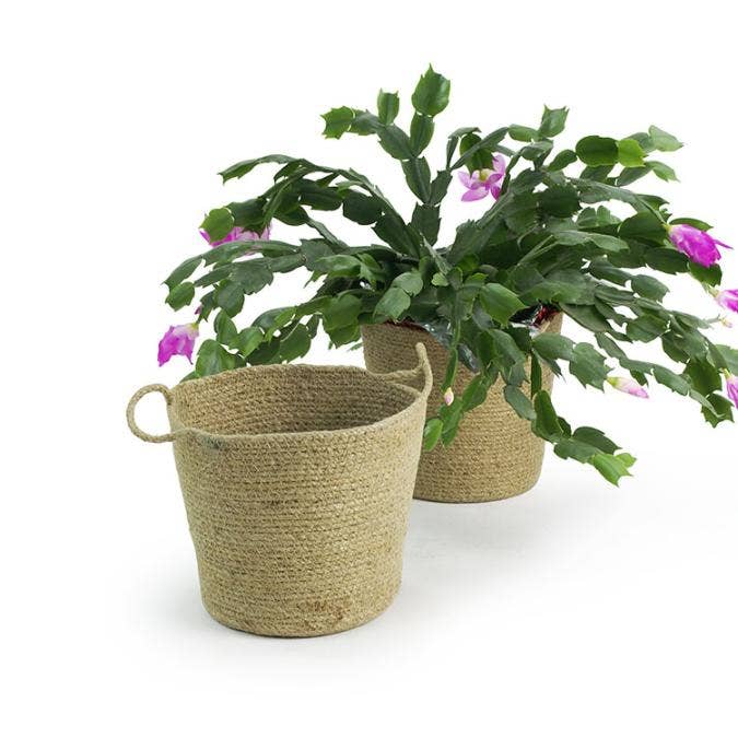 Buhi Imports – Engroshandel Plantekrukke – 6,5 tommer pottebetræk i jute