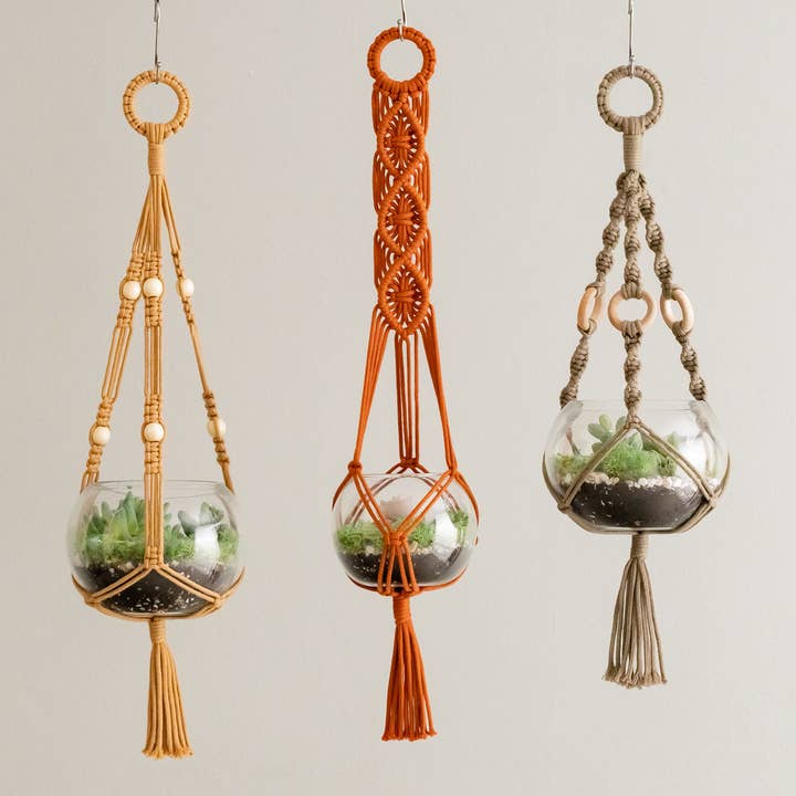 BeanDaikon - Vente Jardinière suspendue - Support pour plantes pour terrarium I680