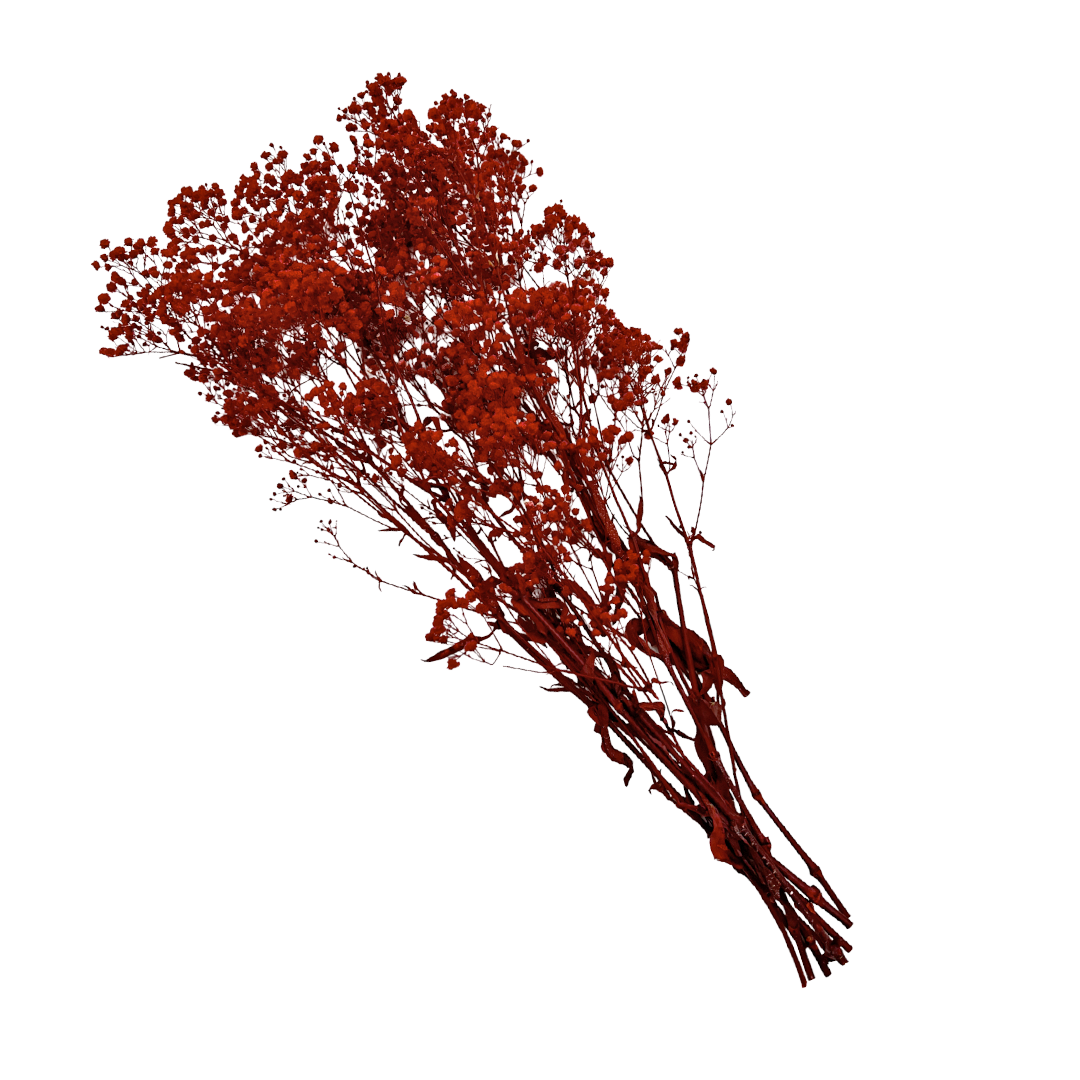 2626 Designs - Wholesale Dried/Pressed Flowers - Preserved Gypsophila, Baby's Breath,24" long25