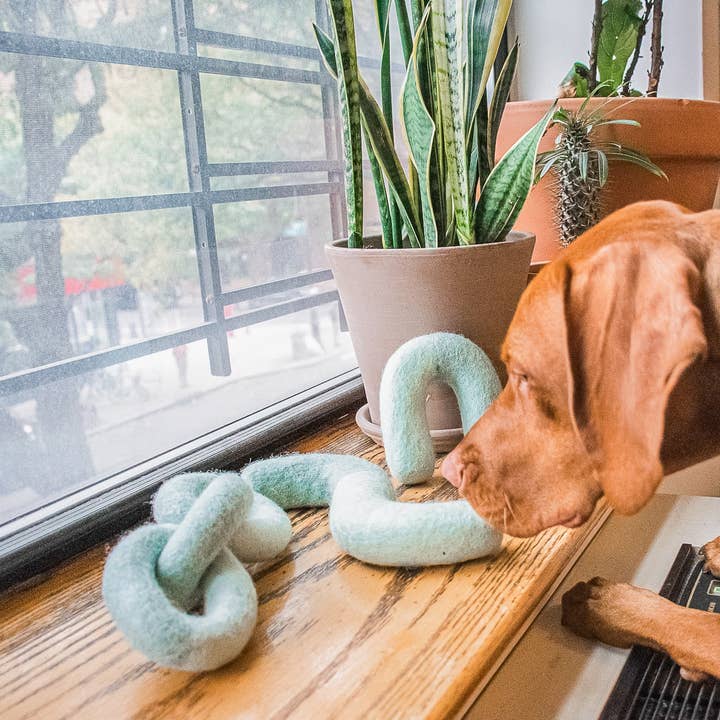 Awoo - Wholesale Pet Chew Toy - Dog - Noodle Felt Toy - Last Chance3