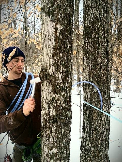 Silloway Maple - Wholesale Maple Syrup - Maple Syrup Jug - Half Gallon Plastic Woodfired2