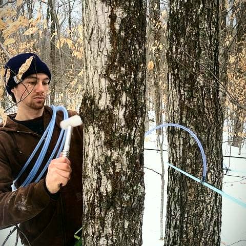 Silloway Maple - Wholesale Maple Syrup - Maple Syrup Jug - Half Gallon Plastic Woodfired2