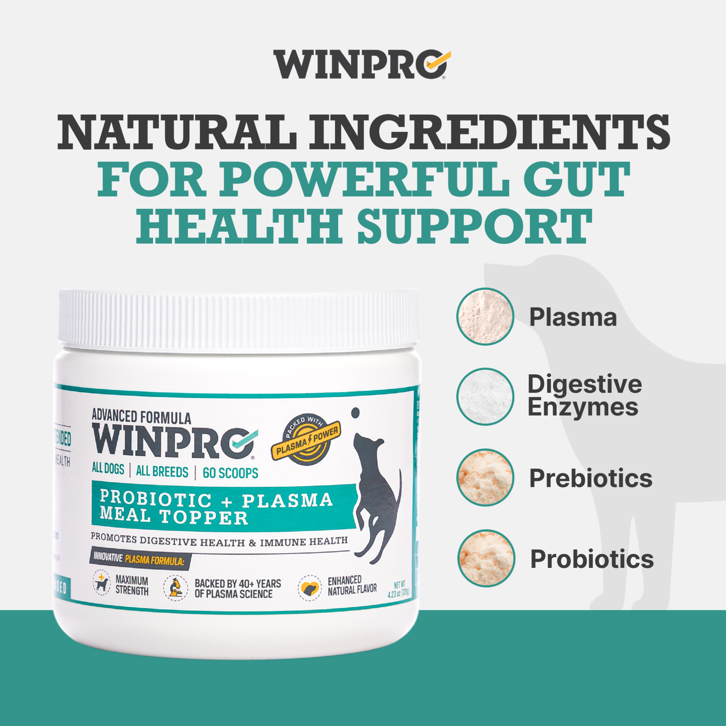 WINPRO Pet - Wholesale Pet Supplement - Dog - Natural Probiotic + Plasma Immune Support Dog Meal Topper2