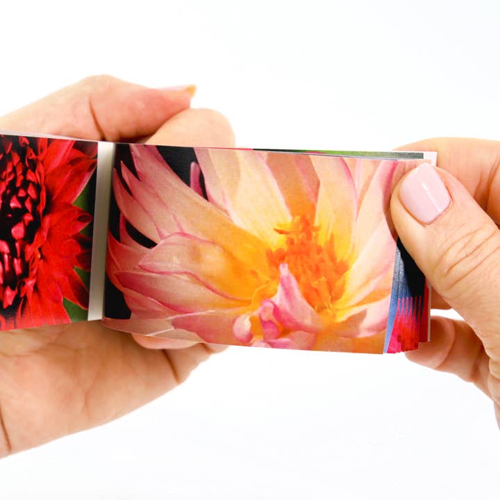 Flipboku - Wholesale Book - Adult - Motion in Nature - Moving Art Bundle