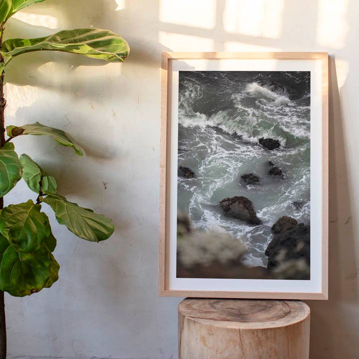 June 10 2023 - Bodega Bay, California for wholesale by Jess Gibbs Photography