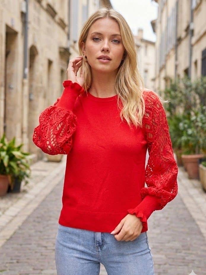 Pull féminin à manches brodées pour la vente par By Clara